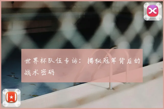 世界杯队伍专访：揭秘冠军背后的战术密码