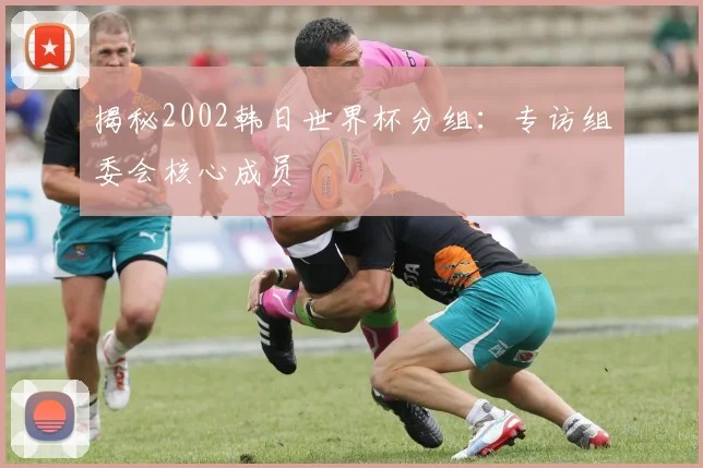 揭秘2002韩日世界杯分组：专访组委会核心成员