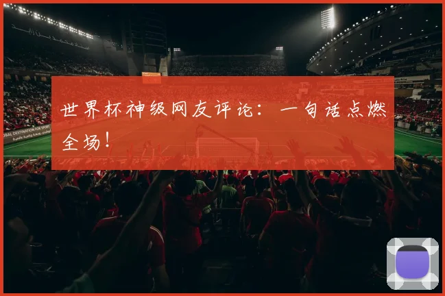世界杯神级网友评论：一句话点燃全场！