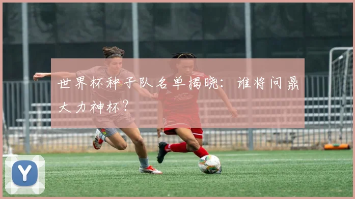 世界杯种子队名单揭晓：谁将问鼎大力神杯？