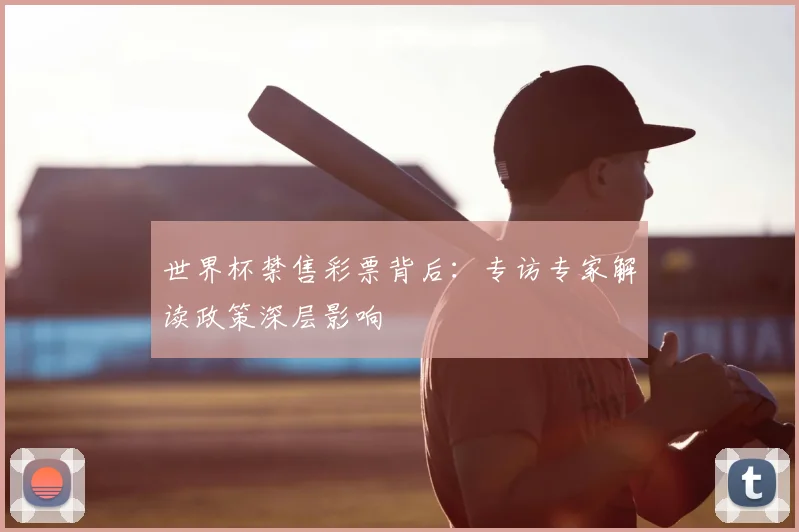 世界杯禁售彩票背后：专访专家解读政策深层影响