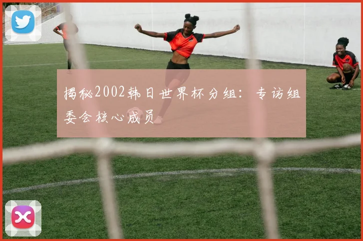揭秘2002韩日世界杯分组：专访组委会核心成员
