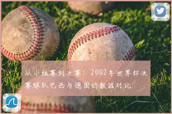 从小组赛到决赛:2002年世界杯决赛球队巴西与德国的数据对比