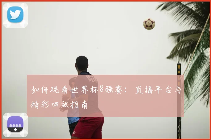 如何观看世界杯8强赛:直播平台与精彩回放指南